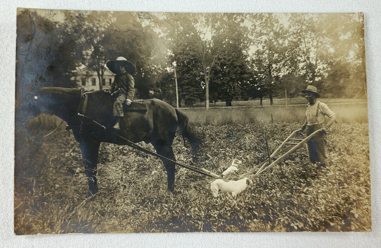 C1910 Black Farmer Plowing W Horse Child And Dogs Real Photo Postcard Rppc
